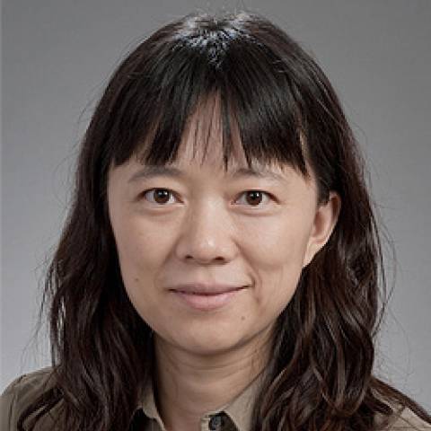 Provider headshot of Xueyan Chen M.D., Ph.D.