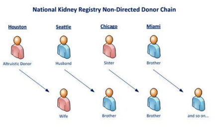 kidney registry chain chart