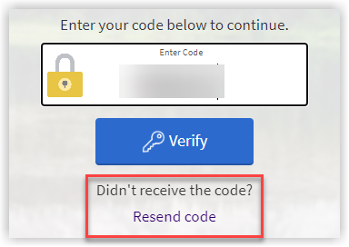 Enter your code into the Enter Code field to continue.