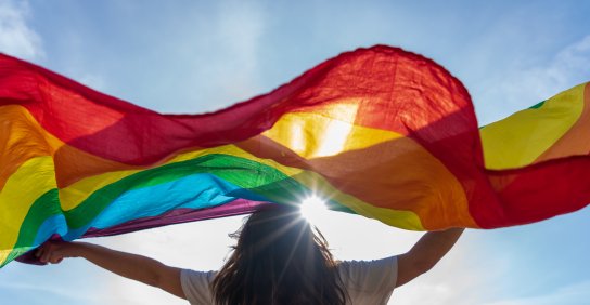 Person holding Pride flag