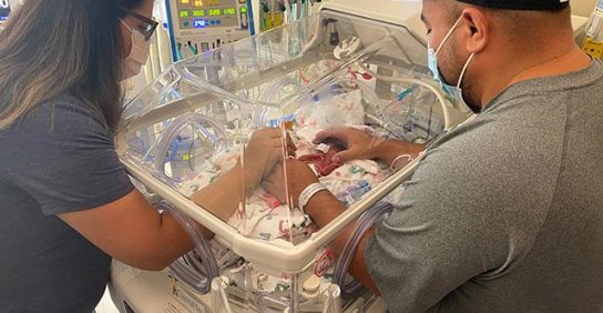 Parents holding hands of newborn baby in incubator